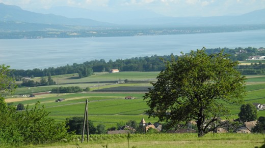 View of Lac Léman