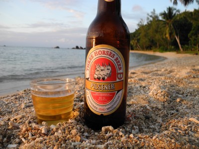 We somehow forgot to take a picture of the beach itself, but our beer picture gives a sense of how pretty it was, no?