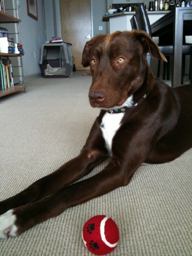 He loves to pose.